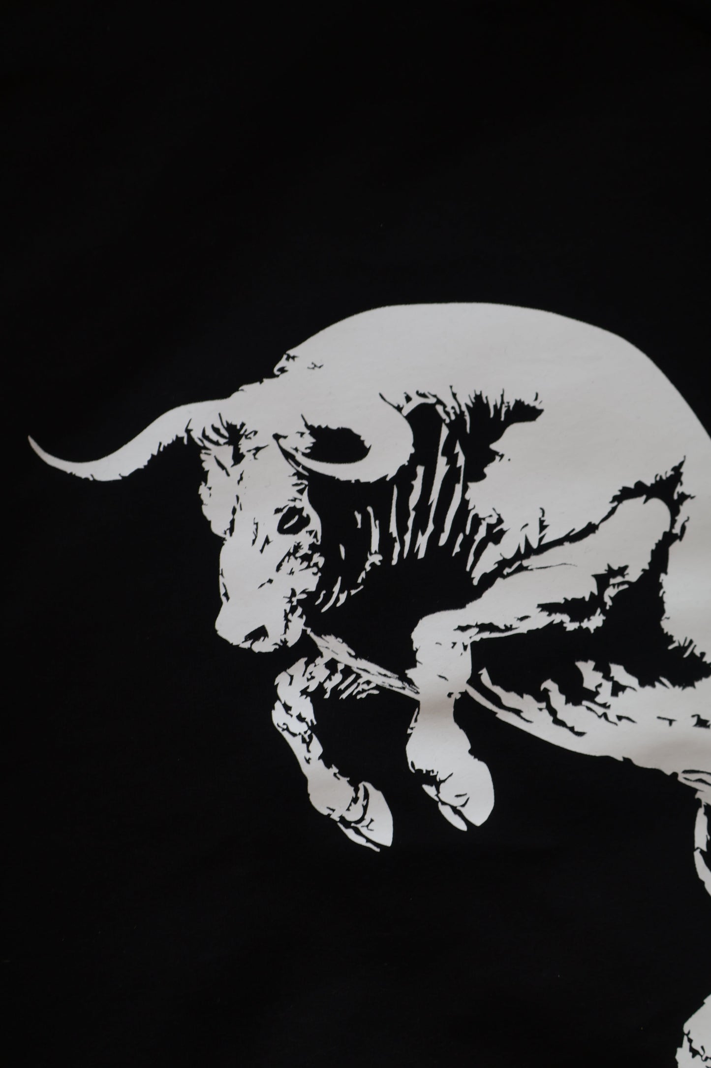 THE AMBITION BULL HOODIE