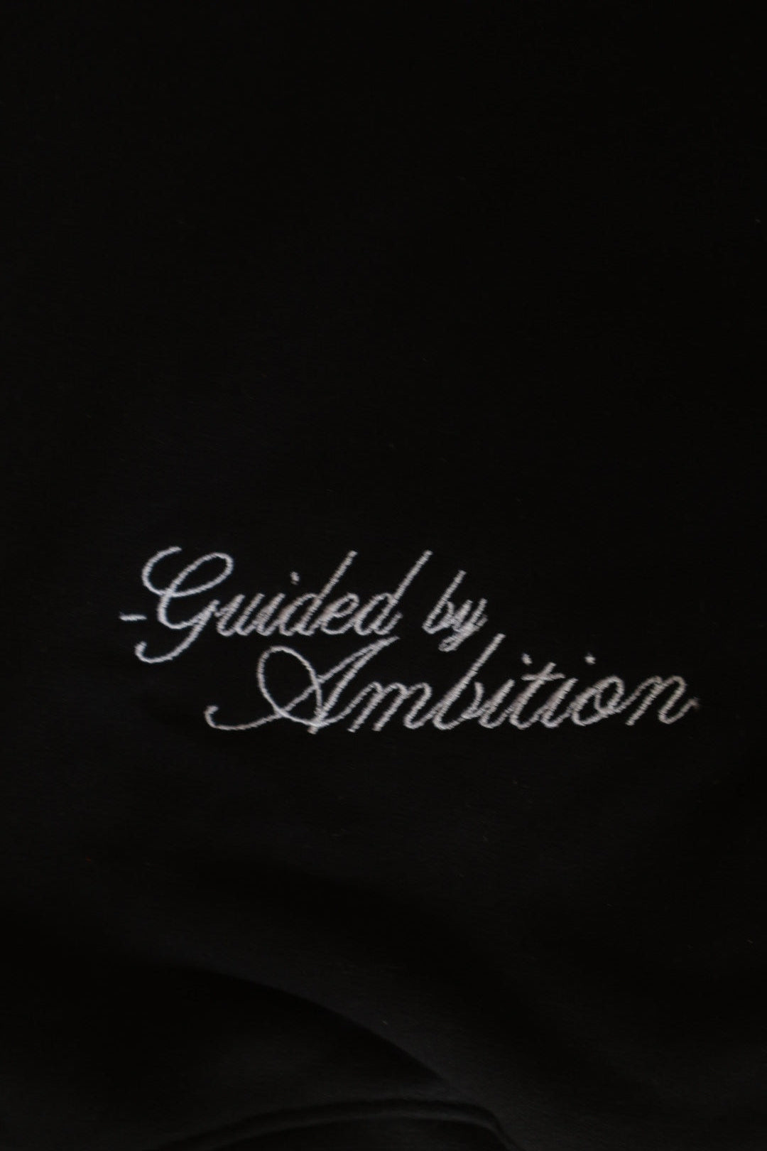 THE AMBITION BULL HOODIE